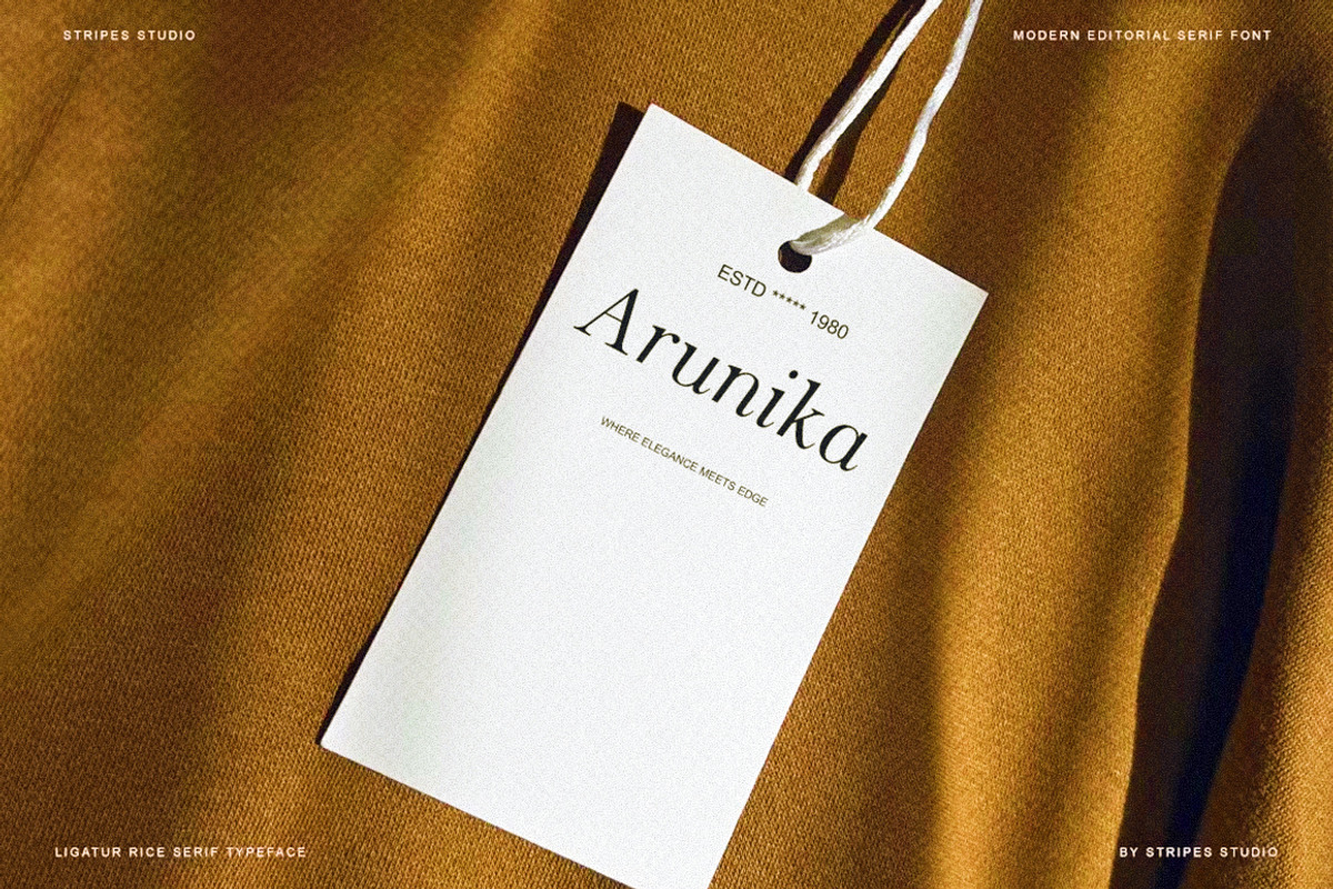 The Stripes Editorial + Italics, a Serif Font by Stripes Studio (Photo 20 of 23)