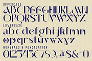 Biological Measures - Elegant Font, a Sans Serif Font by 177Studio (Thumbnail 7 of 8)