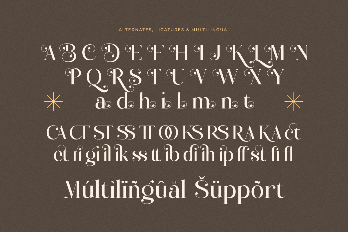 Daisihill - Elegant Luxury Serif, a Serif Font by Shakira Studio (Photo 4 of 10)