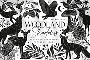 Woodland Shadows Vector Collection, a Decorative Illustration by rouxsupplyco (Thumbnail 1 of 15)