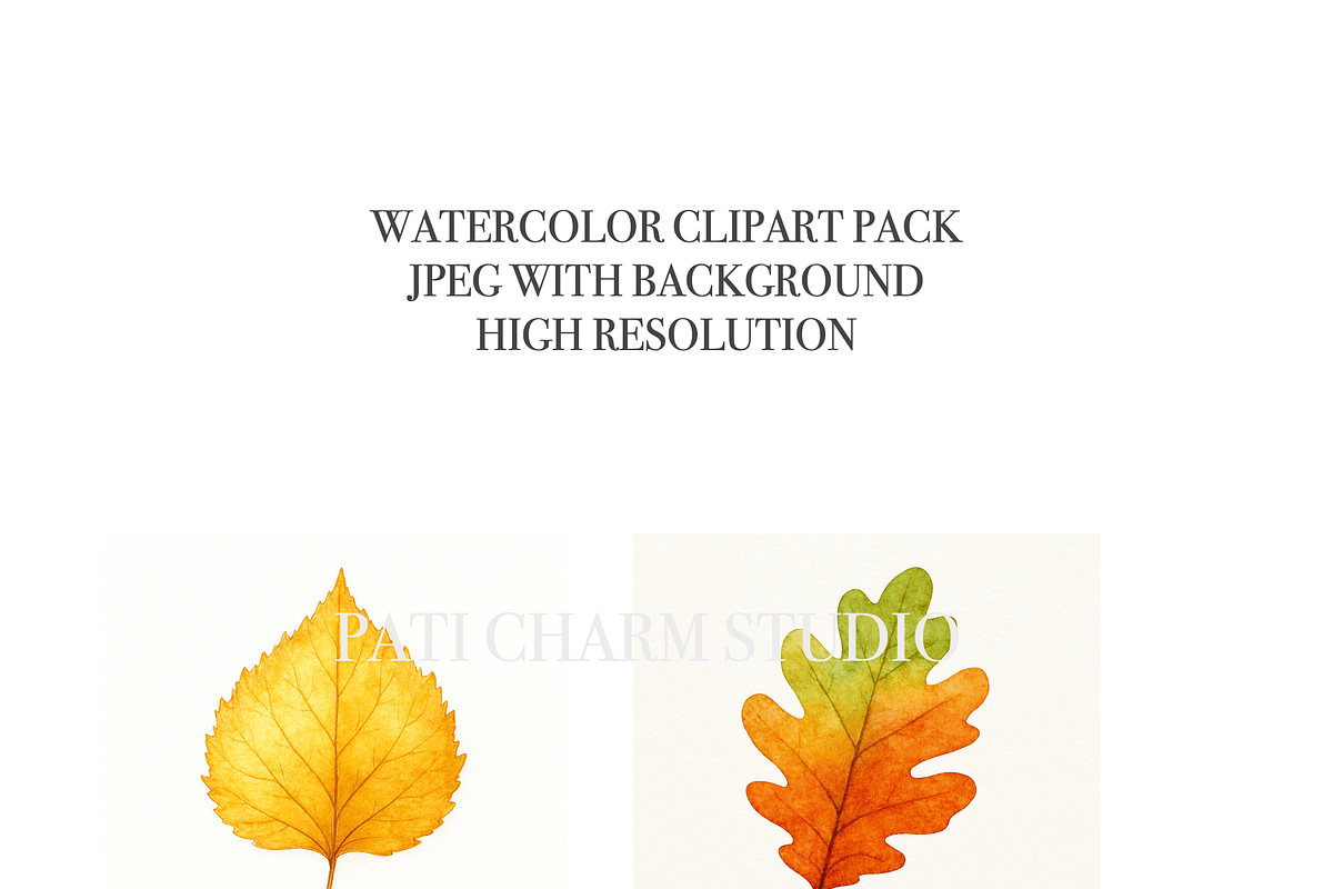 Autumn Leaf Clipart Bundle, a Decorative Illustration by Pati Charm Studio (Photo 3 of 8)