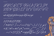 Princely Agatha Stylish Calligraphy, a Script Font by stylishtype.co (Thumbnail 18 of 20)