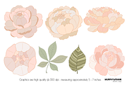 Peony Clipart Flowers Peonies, an Illustration by Murphy & Frank (Thumbnail 3 of 5)