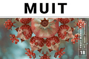 Muit Co · Retro Fruit Mandalas, a Food Illustration by milatovar (Thumbnail 1 of 22)