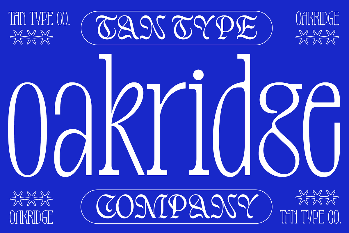 TAN-OAKRIDGE, a Sans Serif Font by TanType (Photo 1 of 10)