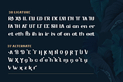 Drafbink | Serif Classic Modernism, a Serif Font by twinstd (Thumbnail 12 of 13)