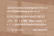 Sagista - Elegant Serif Font, a Serif Font by TypeLogue (Thumbnail 5 of 5)