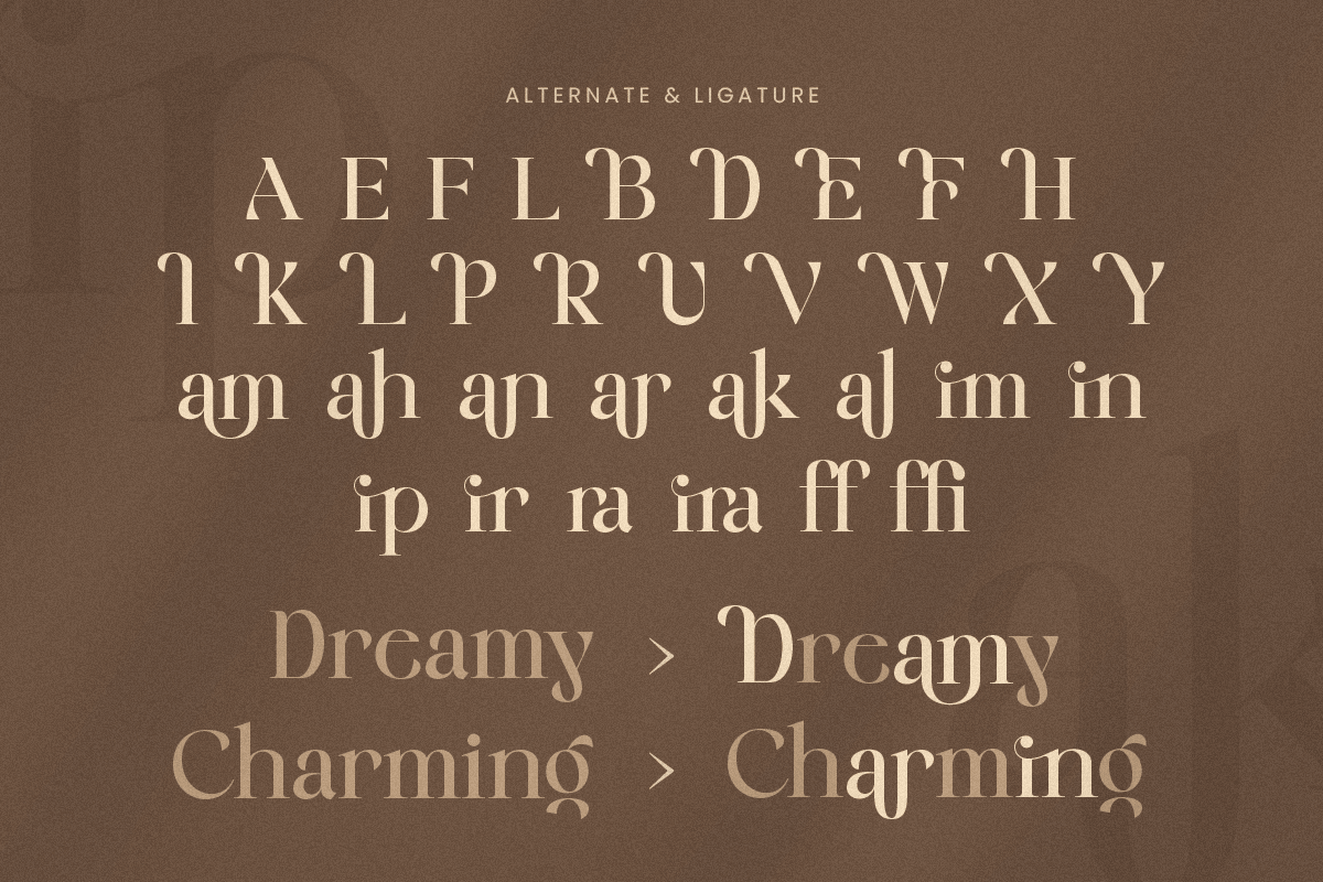 Emira - Unique Luxury Logo Font, a Serif Font by Sensatype (Photo 9 of 12)