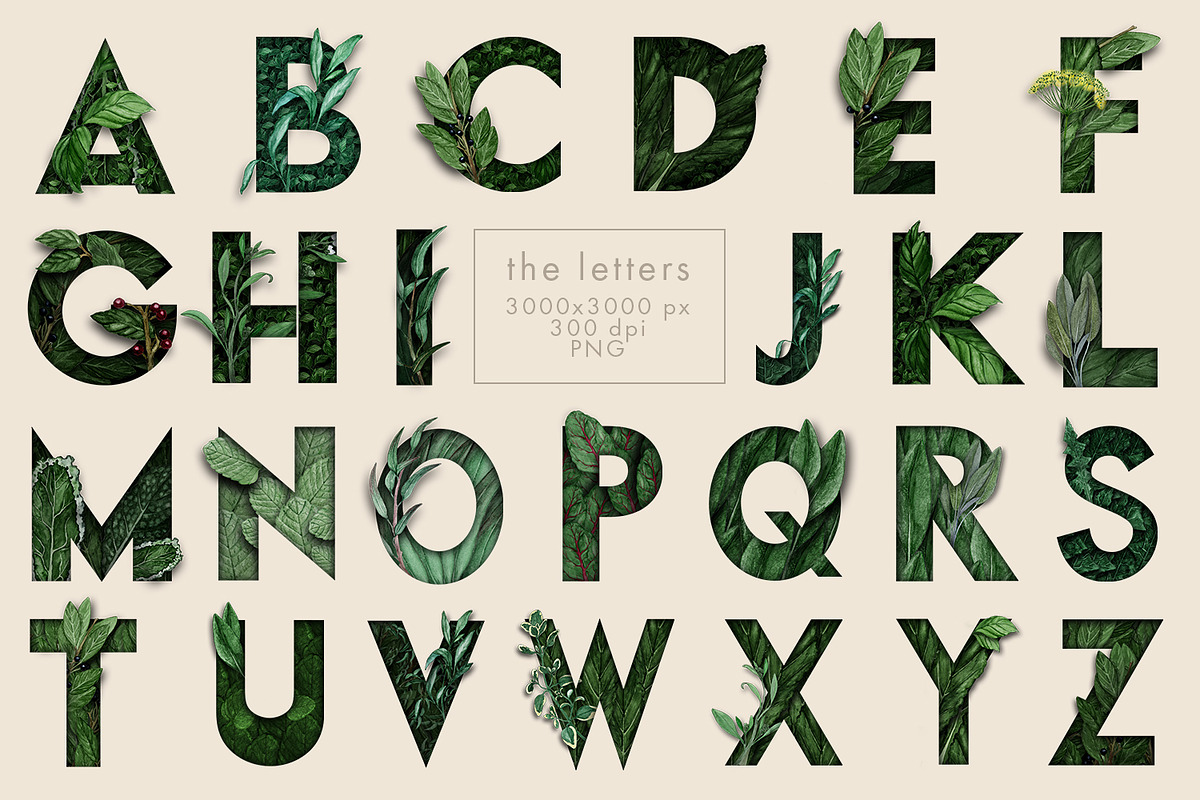 UPDATE - Abundant Greenery, an Object Graphic by Jeanina Vlad (Photo 2 of 9)