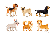 Dog Breeds Collection, an Animal Illustration by YG Studio (Thumbnail 3 of 5)