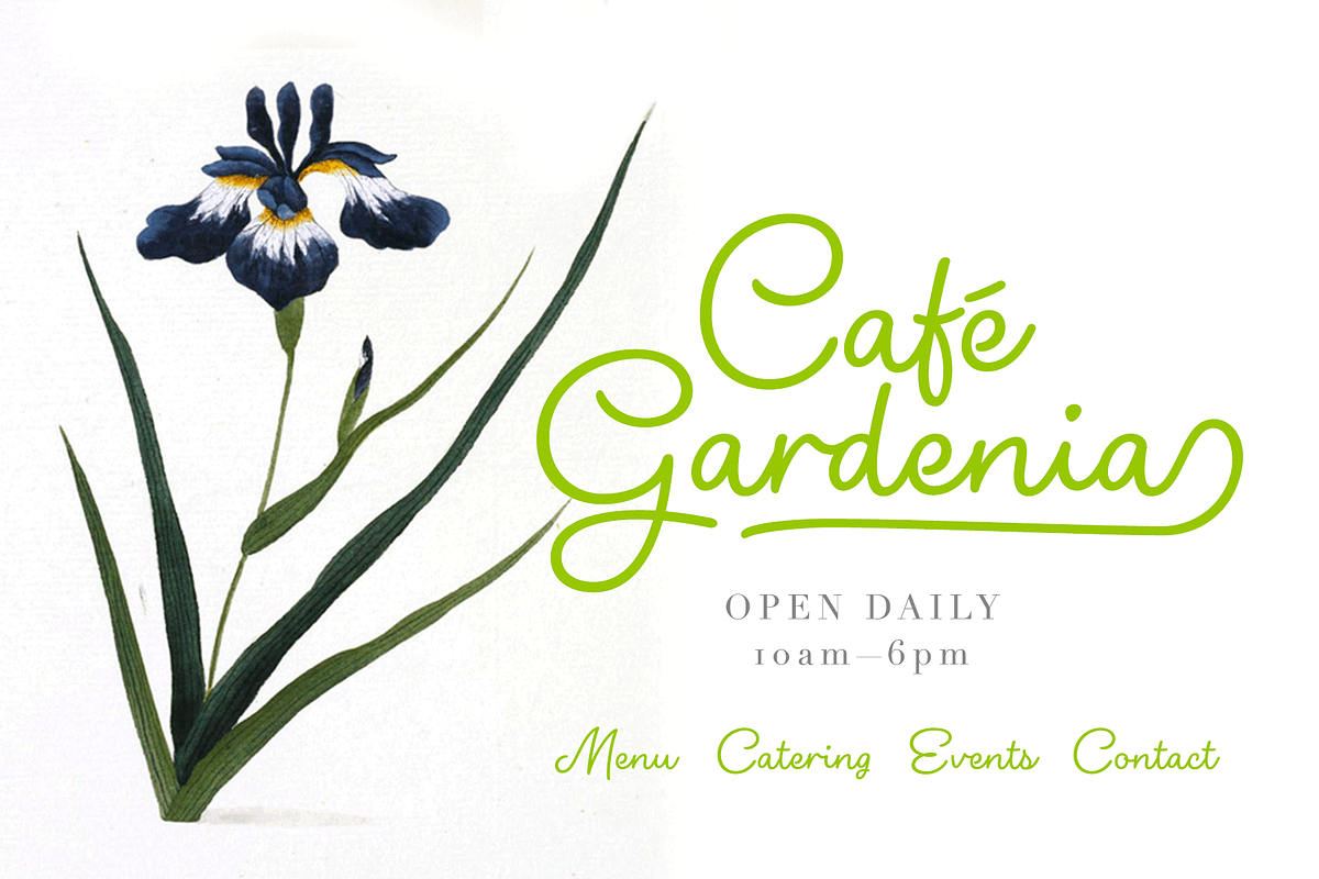 Shirataki Script Font preview 7