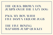 Lavish Times - Serif Font Family, a Serif Font by dylanchiadesigns (Thumbnail 7 of 7)