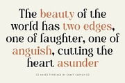 CS Hayes – Art Nouveau Font, a Serif Font by Craft Supply Co. (Thumbnail 4 of 8)