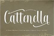 Cattenella, a Script Font by PollemSt (Thumbnail 1 of 7)