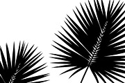 Stylish tropical palm wall decor, an Illustration by Amazin_art (Thumbnail 23 of 33)
