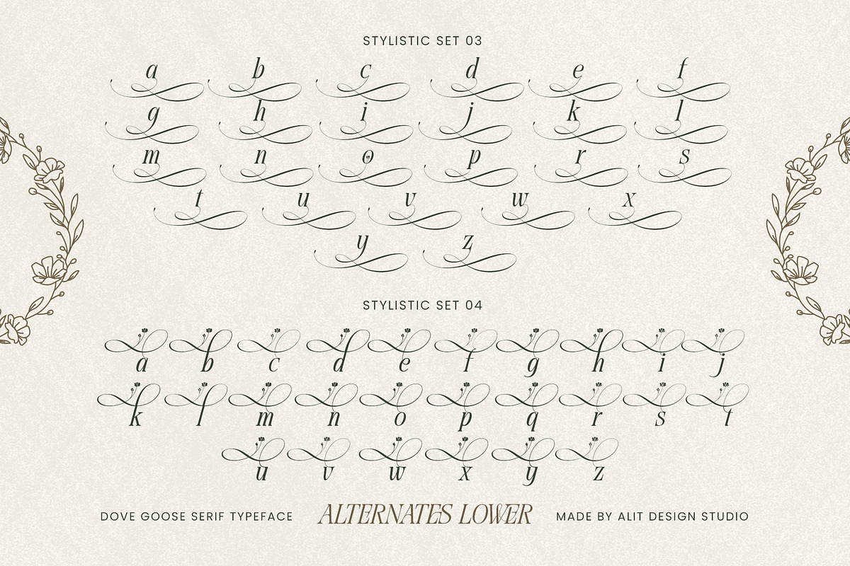 Dove and Goose Typeface, a Serif Font by alit design (Photo 16 of 20)