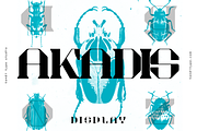 Akadis Display Font, a Serif Font by Tondi Type Studio (Thumbnail 11 of 18)