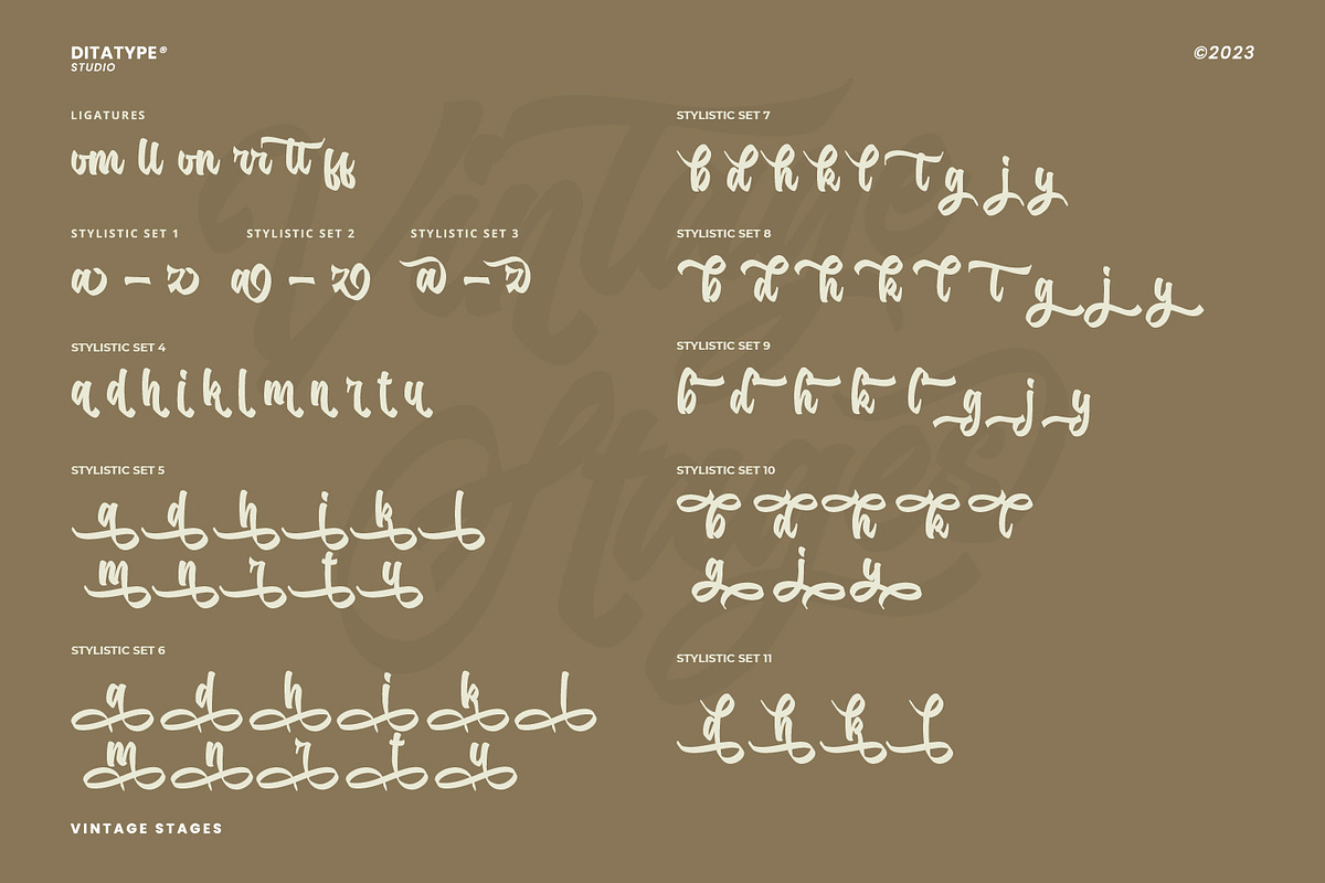 Vintage Stages, a Script Font by Ditatype (Photo 4 of 11)