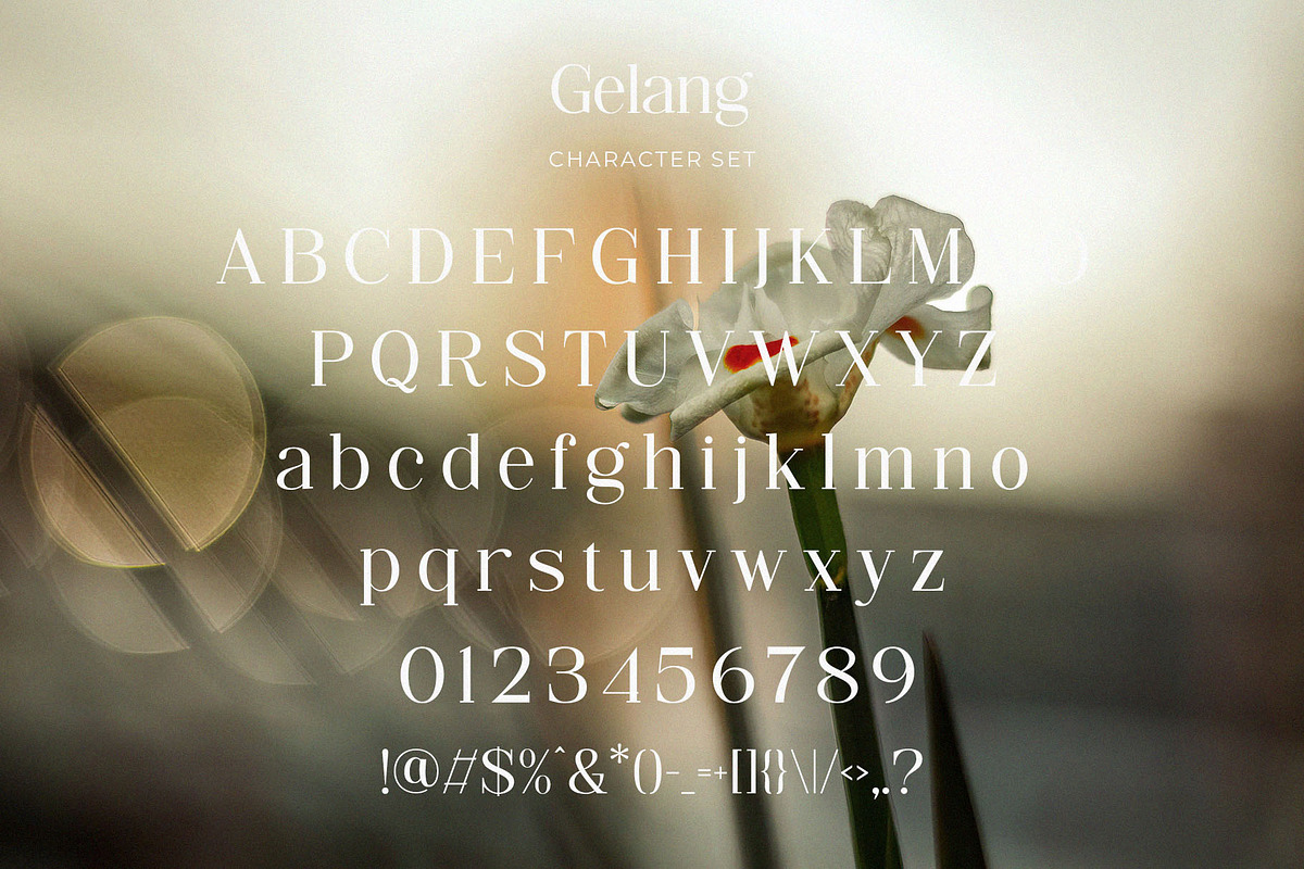 Gelang - Stylish & Modern Serif Font, a Serif Font by TypeLogue (Photo 4 of 5)