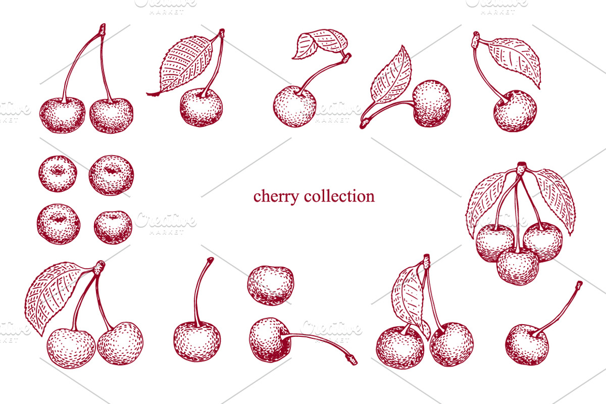 Cherry Vector Collection, a Food Illustration by Lubov Illustrations Shop (Photo 2 of 7)