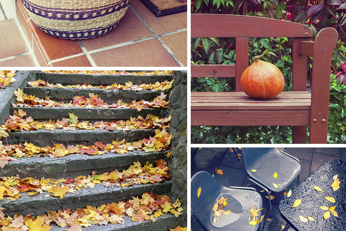 Autumn photo pack, a Nature Photo by BOOCYS (Photo 2 of 2)