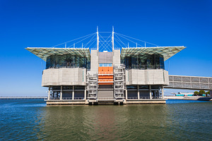 The Lisbon Oceanarium, a Photo by saiko3p