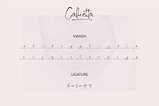 Callietta Handwritten Script Font, a Script Font by suhadidesign (Thumbnail 8 of 8)