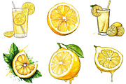 Hand Drawn Summer Lemon Clipart PNG, an Illustration by Designking (Thumbnail 5 of 5)