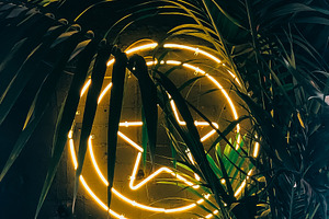 Neon peace sign glowing through trop, a Photo by Dvoevnore photos