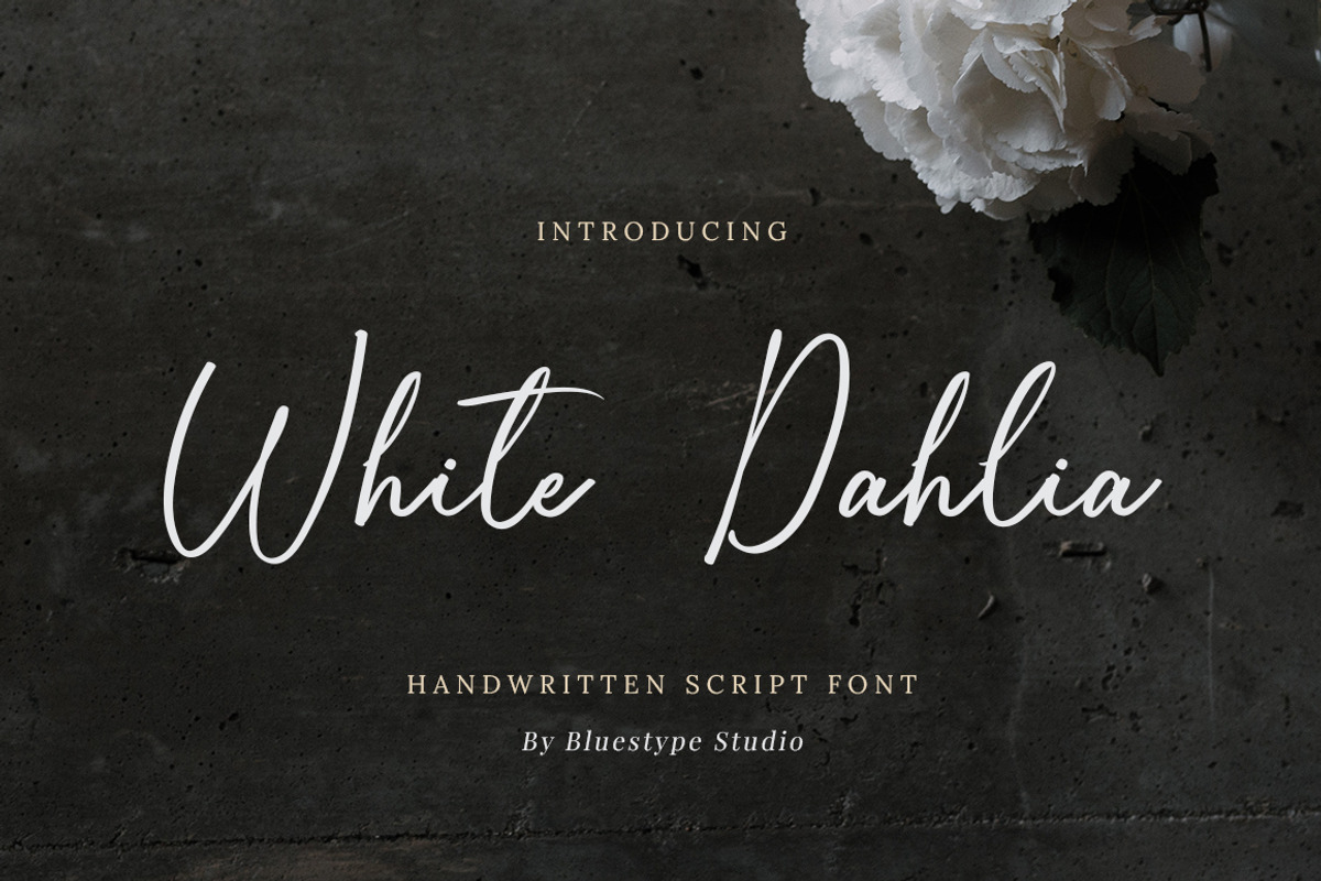 White Dahlia - Romantic Script Font, a Handwritten Font by Bluestype Studio (Photo 1 of 9)