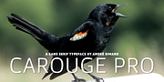 Carouge Pro, a Sans Serif Font by André Simard (Thumbnail 1 of 8)