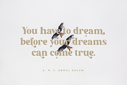 Golden Radiant - Modern Serif Font, a Serif Font by Pen Culture (Thumbnail 6 of 12)