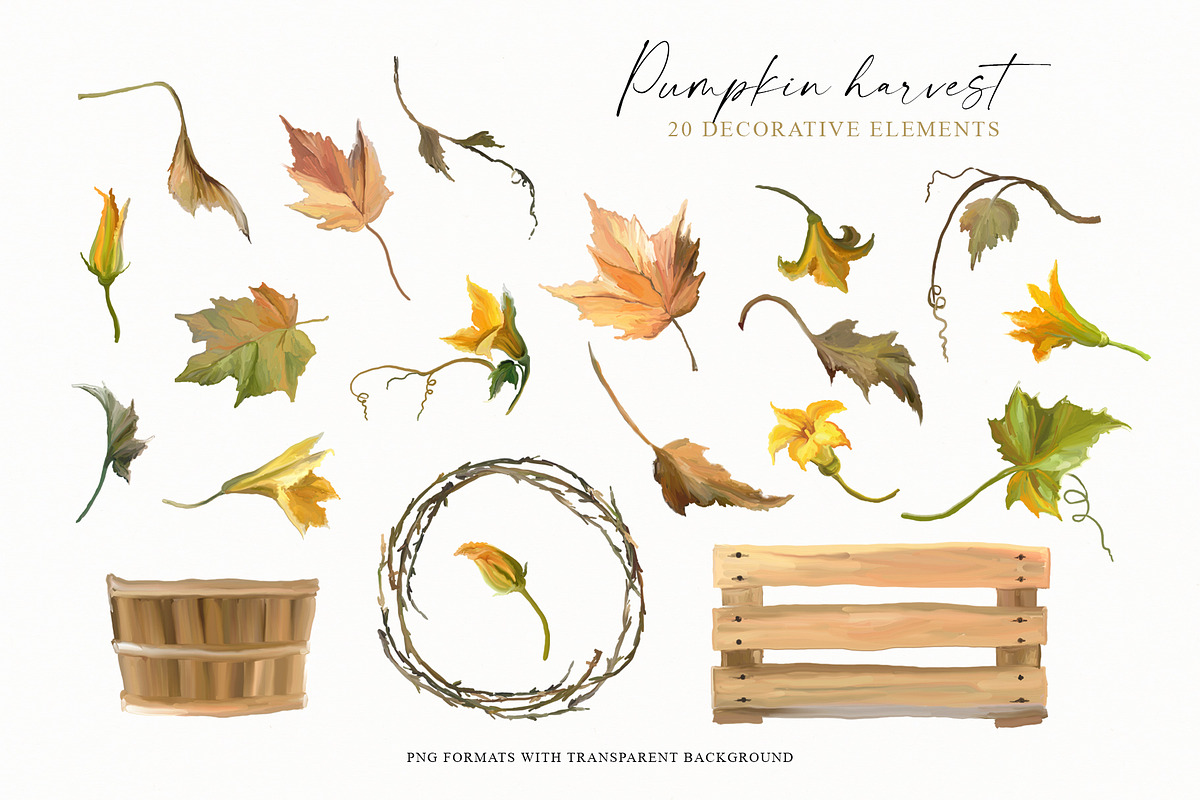 Pumpkin harvest - autumn clipart, an Illustration by Vasmila (Photo 11 of 15)
