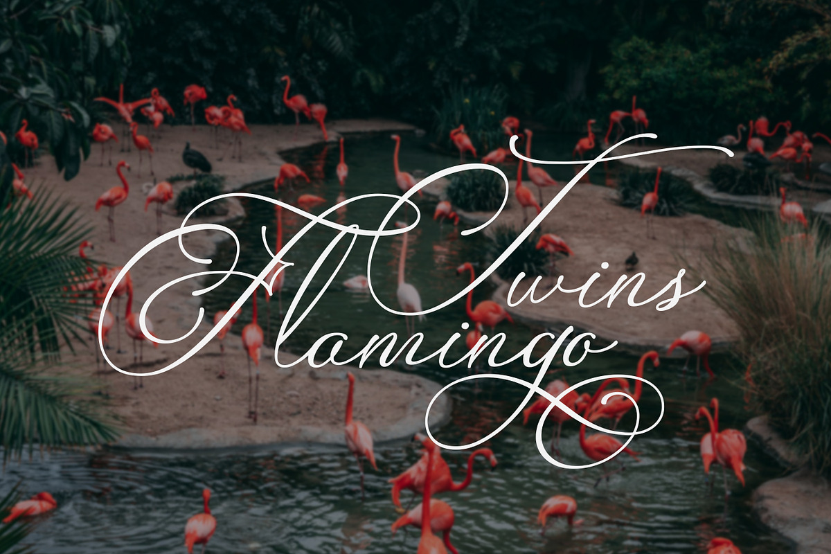 Fingline – Classic Calligraphy Font, a Script Font by Imiftype Studio (Photo 5 of 10)