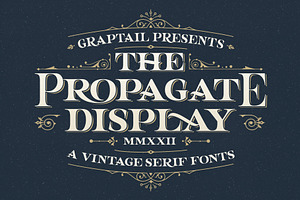 Propagate - Vintage Serif, a Sans Serif Font by Graptail