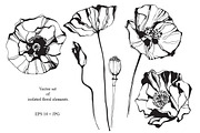 Poppy. Vector collection., an Illustration by maritime_m (Thumbnail 4 of 4)