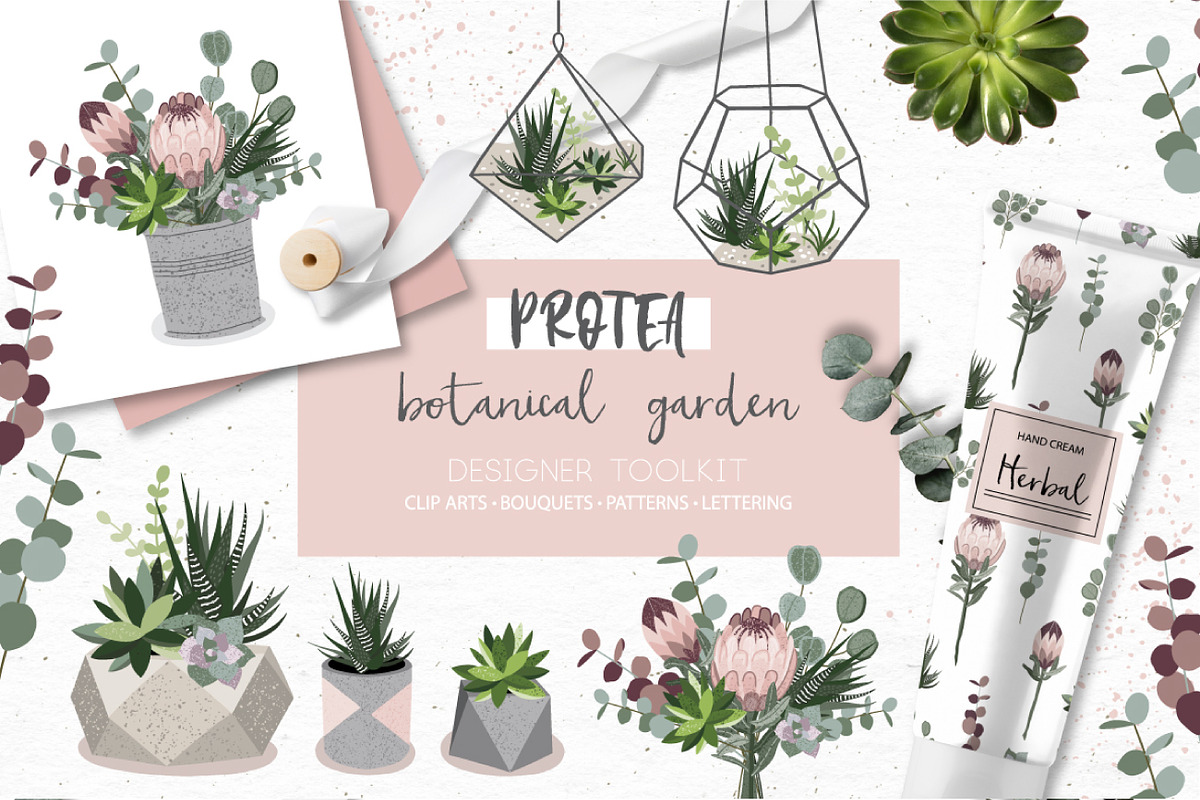 Protea - botanical garden collection, an Illustration by lokko studio (Photo 1 of 7)