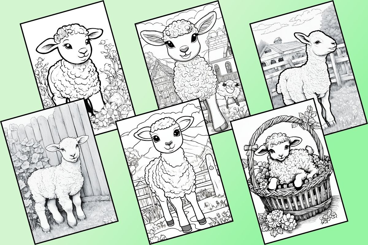 Cute Lamb Coloring Pages, an Animal Illustration by Catchy Ideaz (Photo 2 of 3)