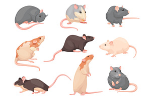Cartoon mouse poses. Cute mise set, an Animal Illustration by Stock-Smart-Start