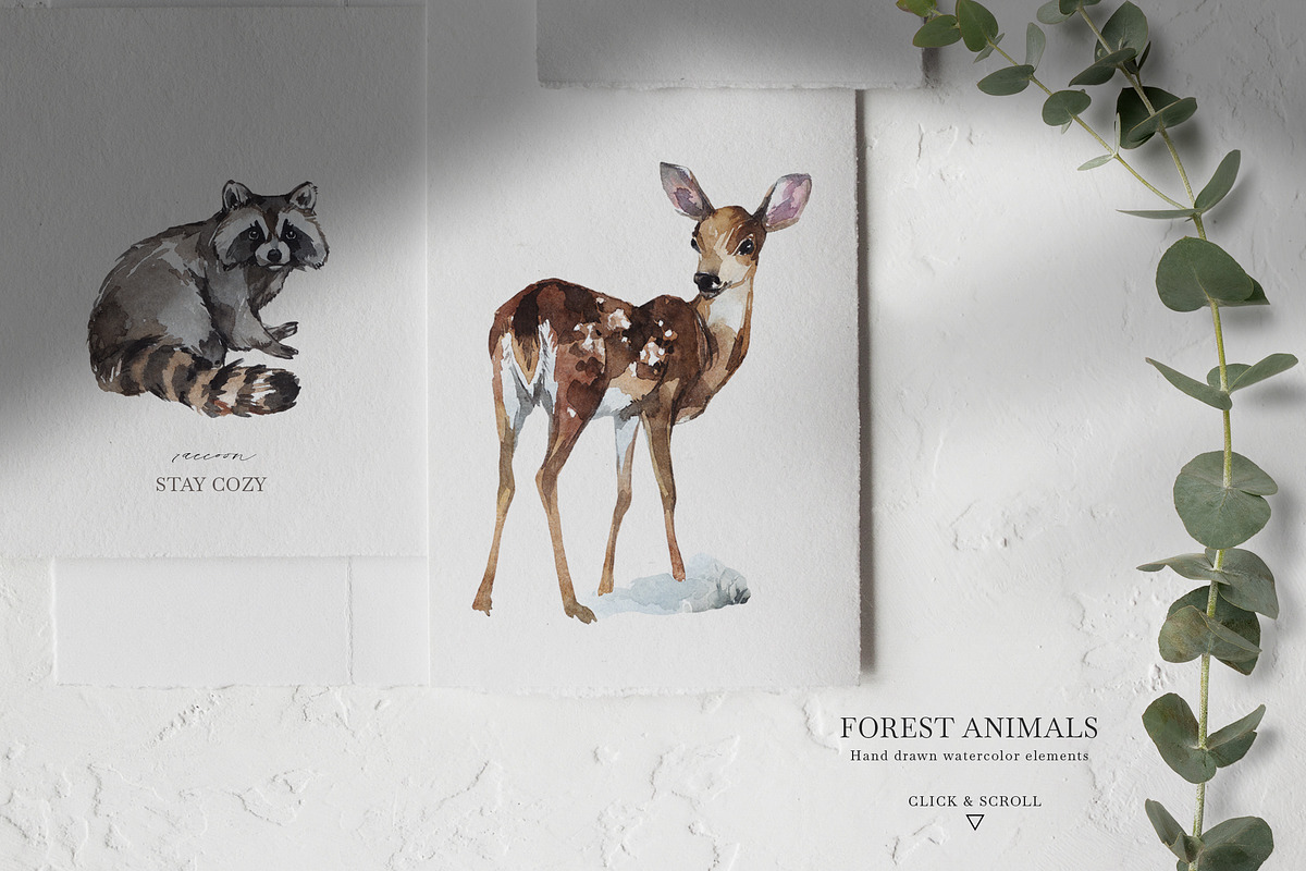 Forest Legends Winter animal set, a Seasonal Illustration by Anastezia Luneva (Photo 4 of 17)