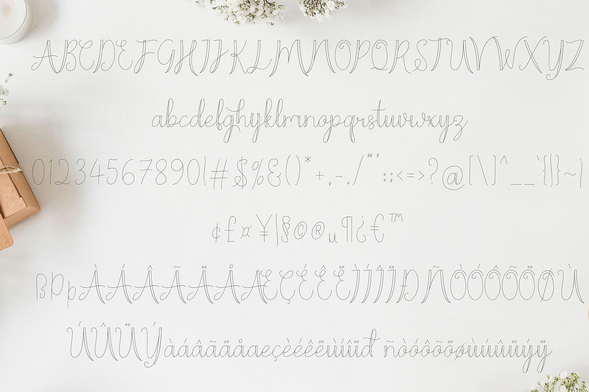 Moon Line Script - Line Script Font preview 6