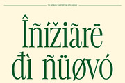 CS Remain – Classic Serif Font, a Serif Font by Craft Supply Co. (Thumbnail 6 of 8)