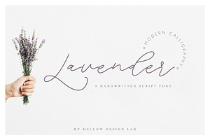 Lavender Script