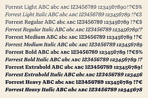 Forrest Friendly Serif Family