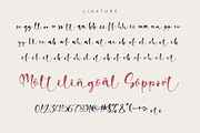 Rossellia, a Script Font by Stefani Letter (Thumbnail 11 of 12)