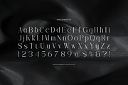 Trailogen | Display Serif Font, a Serif Font by gracetype_studio (Thumbnail 10 of 12)