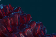 Abstract 3D Rendering of Soft Waves, a Wallpaper Graphic by BIBIART (Thumbnail 10 of 13)