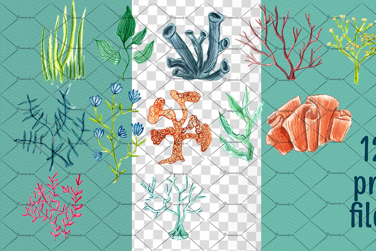 Ocean Whimsy Watercolor Wonders, an Illustration by Amarawolf's Art (Photo 2 of 18)