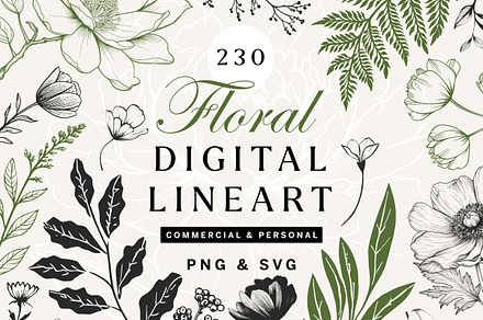 Floral PNG Line Art Bundle, a Decorative Illustration by Century Library