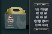 Master Rumble Victorian Typeface, a Blackletter Font by alit design (Thumbnail 19 of 25)